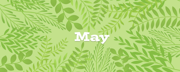 May 01