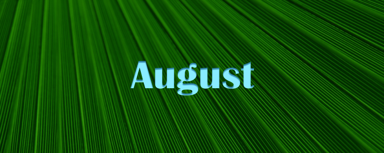 August 05